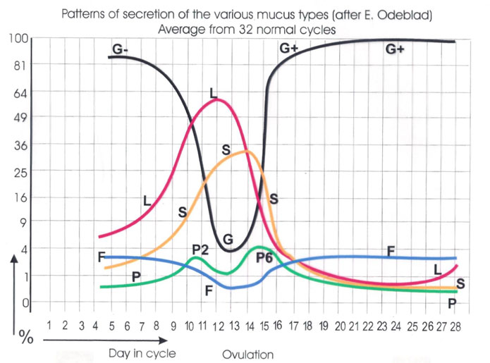 Graph-of-mucus-types_695